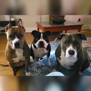 We're Ready to Ship Today!